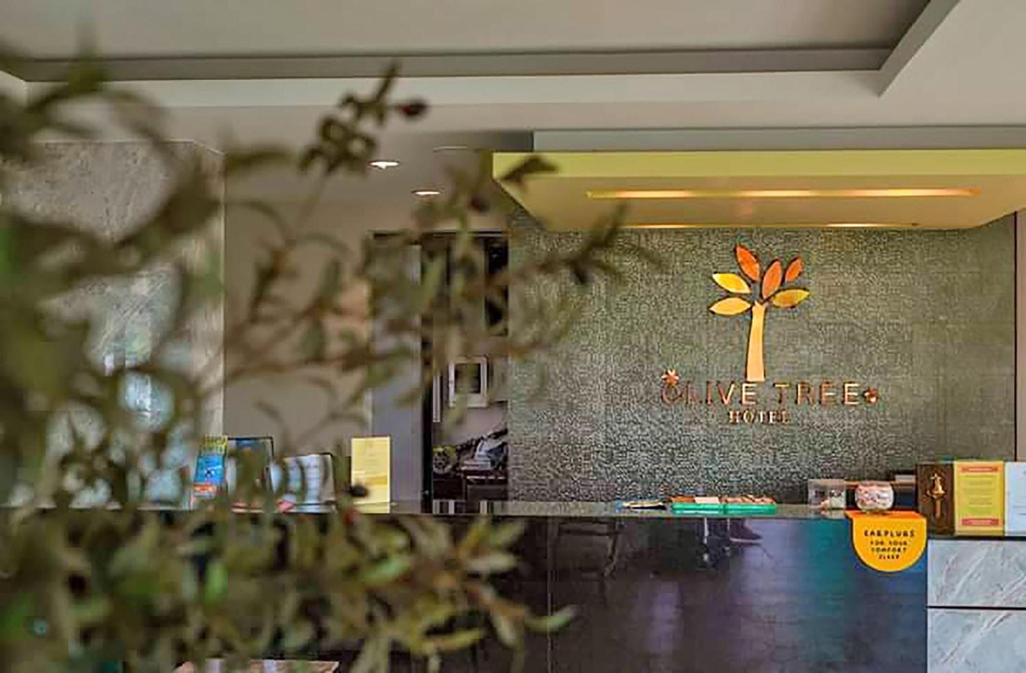 Olive Tree Hotel Pattaya Наджомтьєн Екстер'єр фото